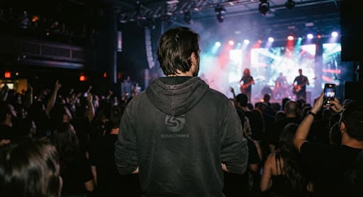 Asistente de espaldas en un concierto